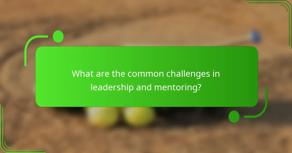 What are the common challenges in leadership and mentoring?